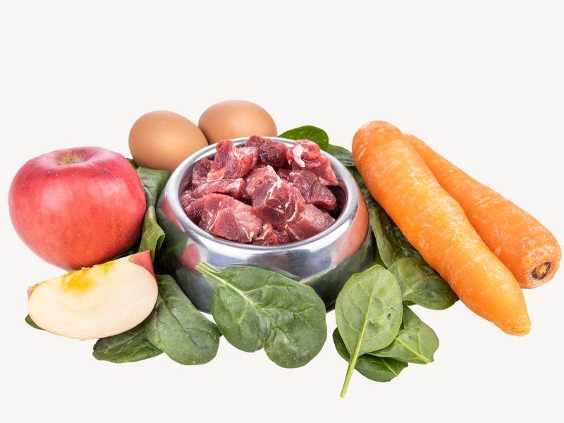 Landing Masticación Natural alimentos BARF OnlyRaw