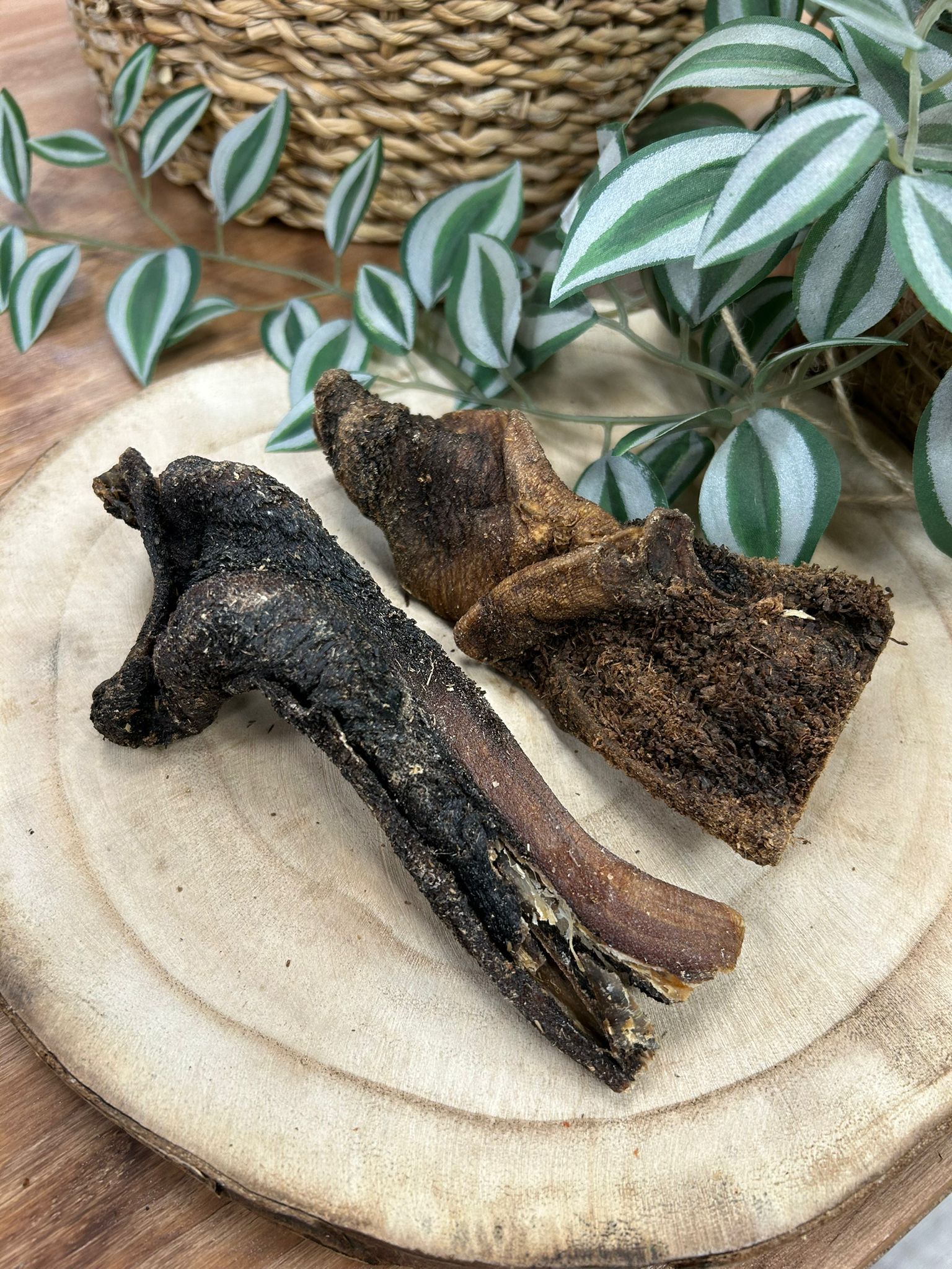Tripa Verde de Ternera