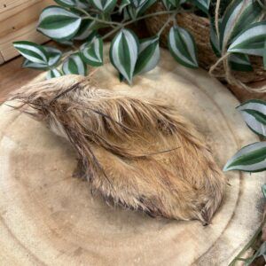 Oreja de vacuno con pelo - snack perro