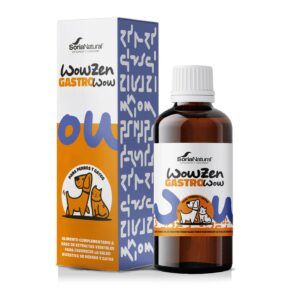 Gastrowow perros y gatos